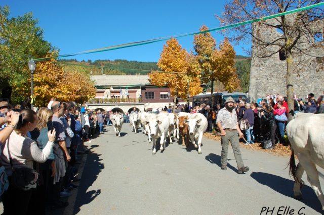 Santo Stefano E La Val D Aveto Domani A Geo Geo Prima Il Levante