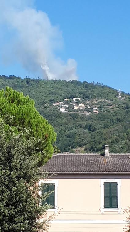 Sei ettari in fiamme a Cogorno, volontari e pompieri in difesa del bosco