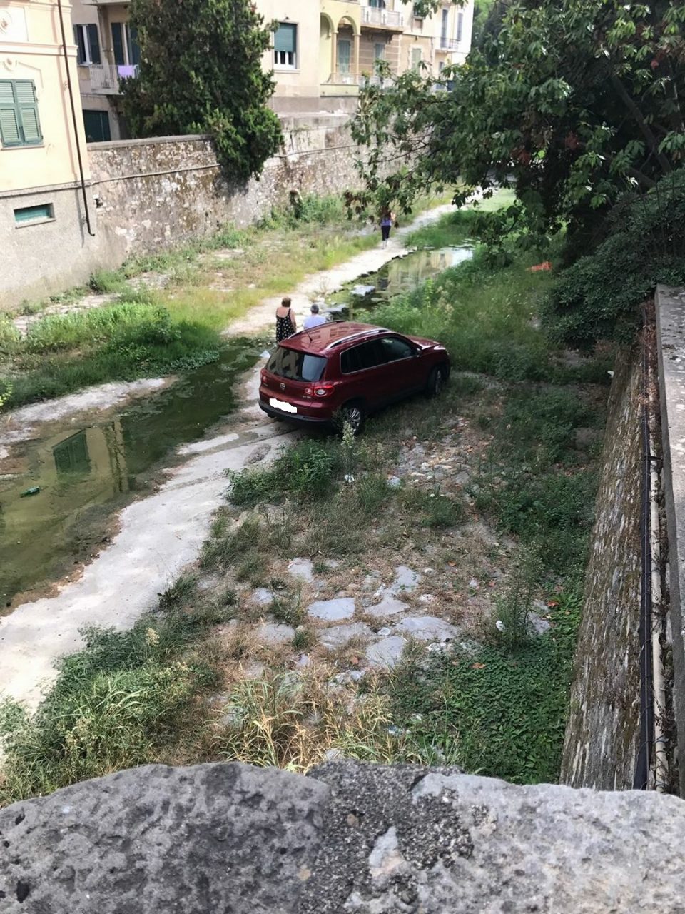 Cercano il gatto smarrito sul greto del Rupinaro con l’automobile