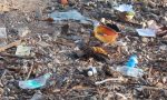 No alla plastica in mare: alla foce dell'Entella bimbi delle scuole a raduno
