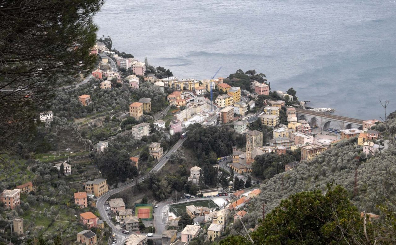 Zoagli in Cile, radici comuni antiche, fama moderna