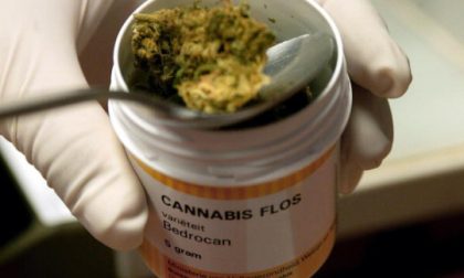 «Cannabis terapeutica, il Gaslini firmi una convenzione con le farmacie»