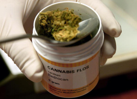 Cannabis terapeutica, la Liguria chiede al governo di venire incontro al fabbisogno