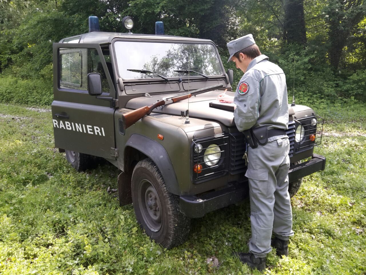 Taglia alberi in un bosco, multa da 51mila euro