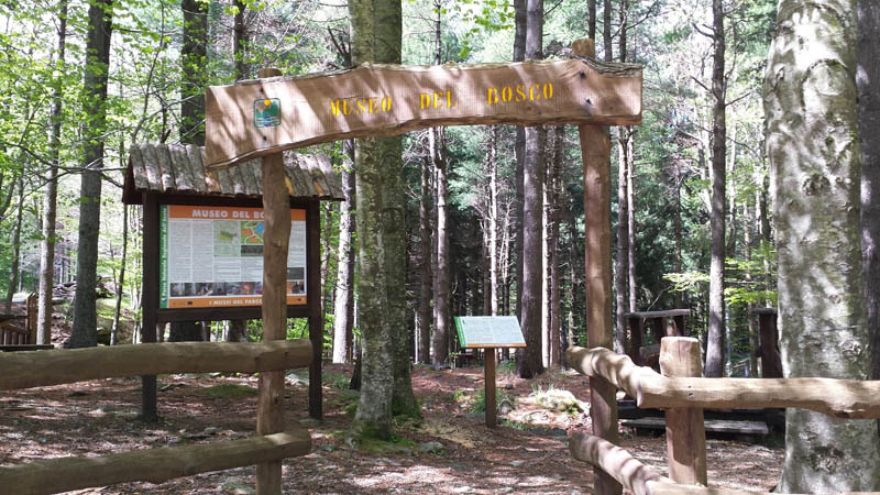Giornata dei sentieri liguri: appuntamento anche al Parco dell’Aveto