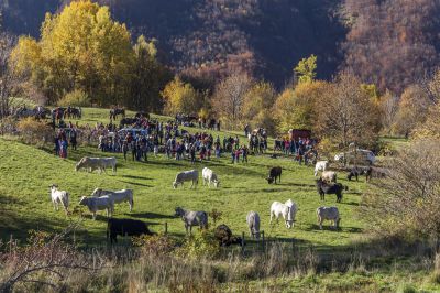 Arriva la Transumanza a Santo Stefano