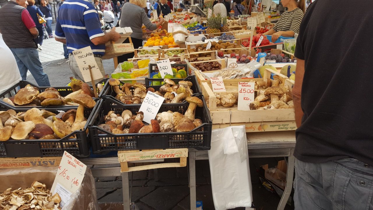 Tesserini a Borzonasca, il Consorzio viene condannato