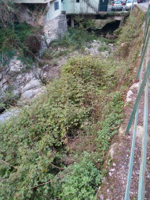 Allarme a Lago per il fiume invaso dalle sterpaglie