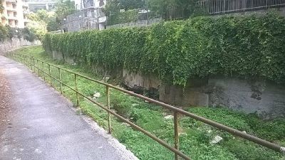 Dall’ombrosa valle del Tuia a un terreno vista mare