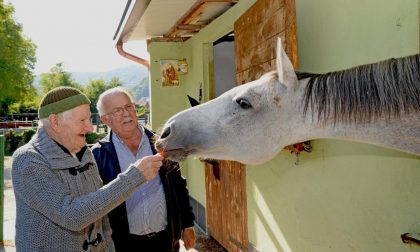 A tu per tu con i cavalli: la visita speciale degli ospiti del Morando