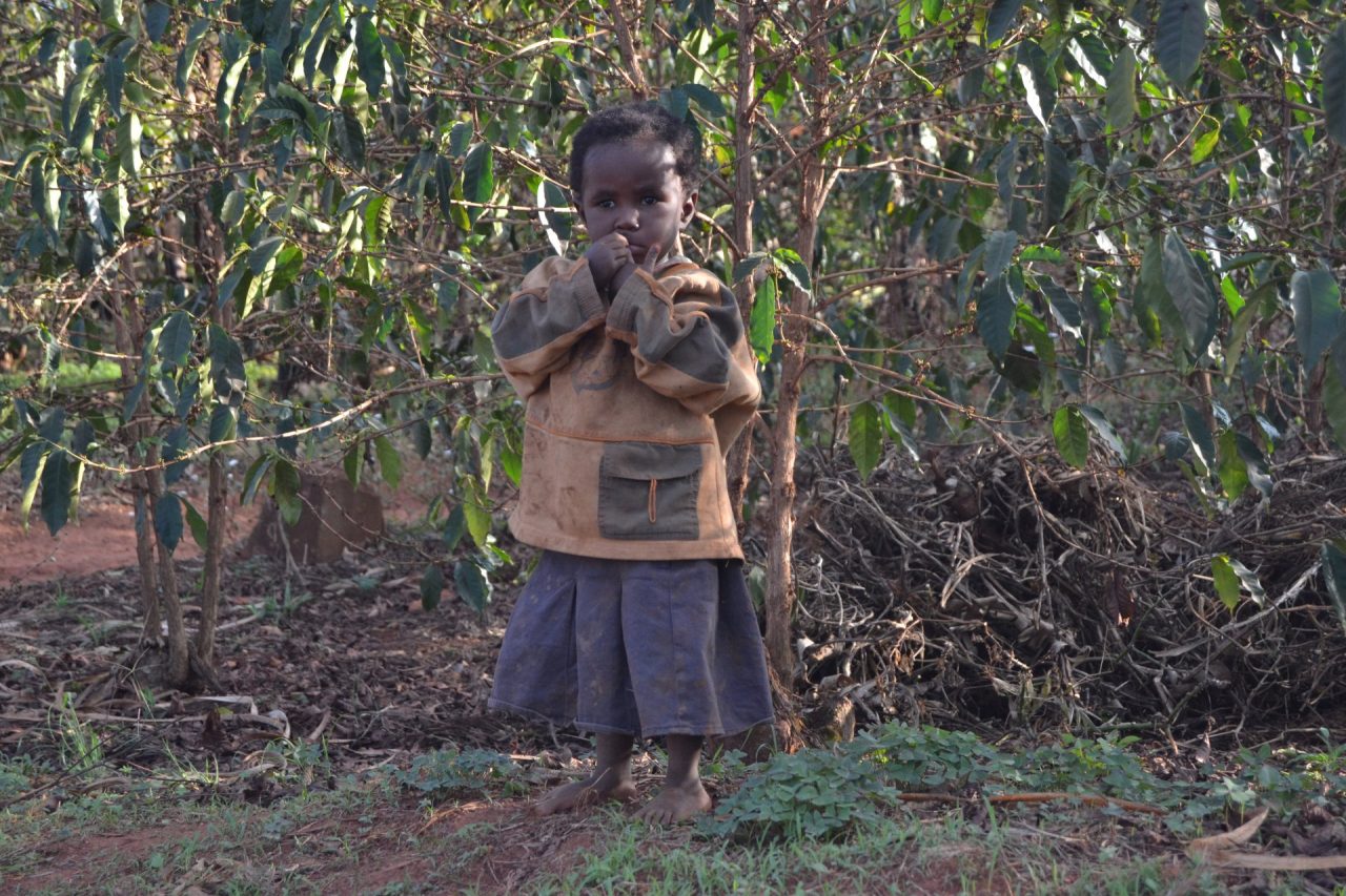 In Ruanda, a 20 anni dal genocidio, con Il Nuovo Levante e l’Opera Madonnina del Grappa