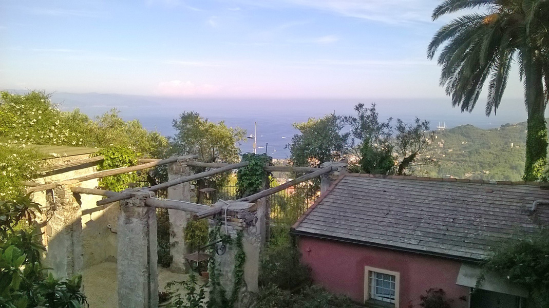 Fuggono dal recinto ed azzannano un cavallo e due asini, recuperati due cani lupo