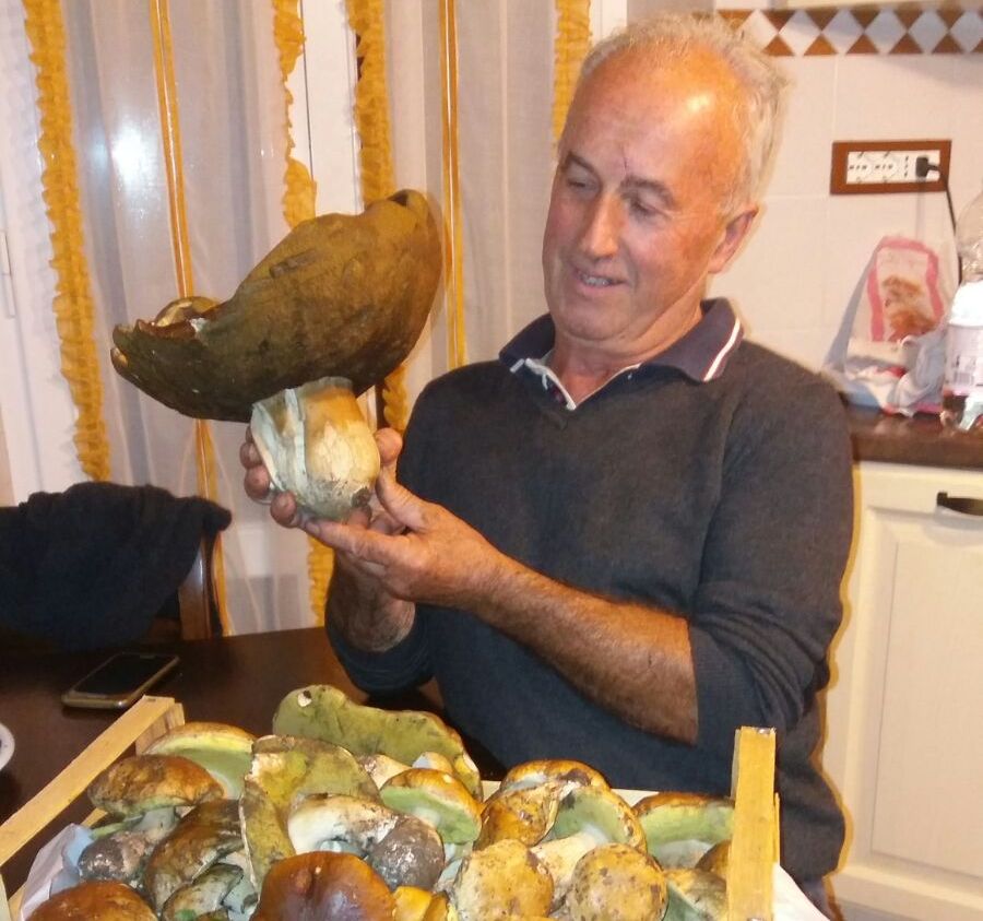 Trovato un fungo da record