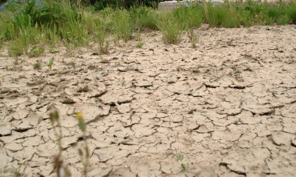 Emergenza siccità, Mai: «Entro fine mese chiederemo lo stato di calamità naturale»