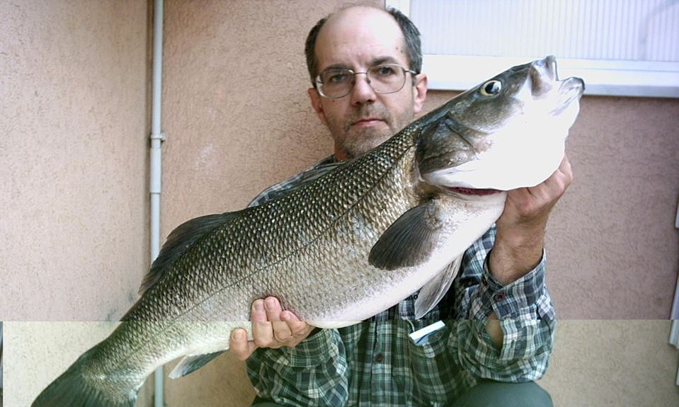 Il mondo della pesca piange l’improvvisa scomparsa di Carlo Albini