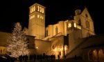 La Regione dona ad Assisi un abete dell'Aveto per le festività natalizie