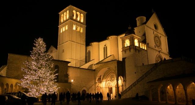 La Regione dona ad Assisi un abete dell’Aveto per le festività natalizie