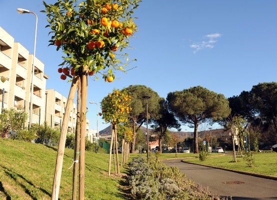 Sestri Levante, sospetta fuga di gas in via Negrotto Cambiaso