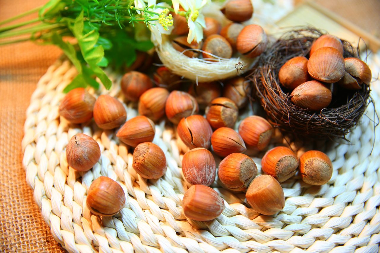 Nocciola Day: dall’Aveto nel Tigullio la nocciola nostrana
