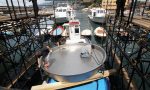 Treni speciali per la Sagra del Pesce di Camogli