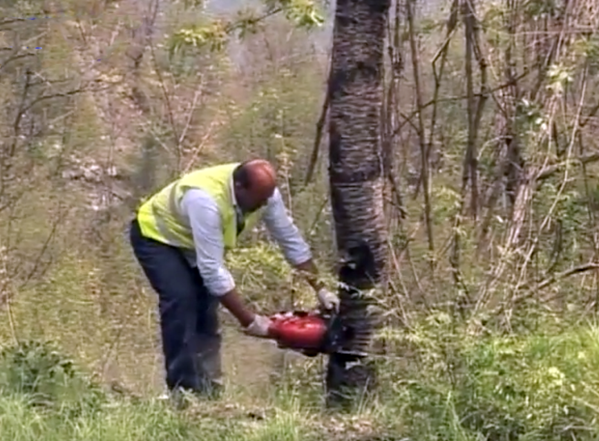 Tribogna, chiusure al traffico sulla provinciale 22 per il taglio degli alberi