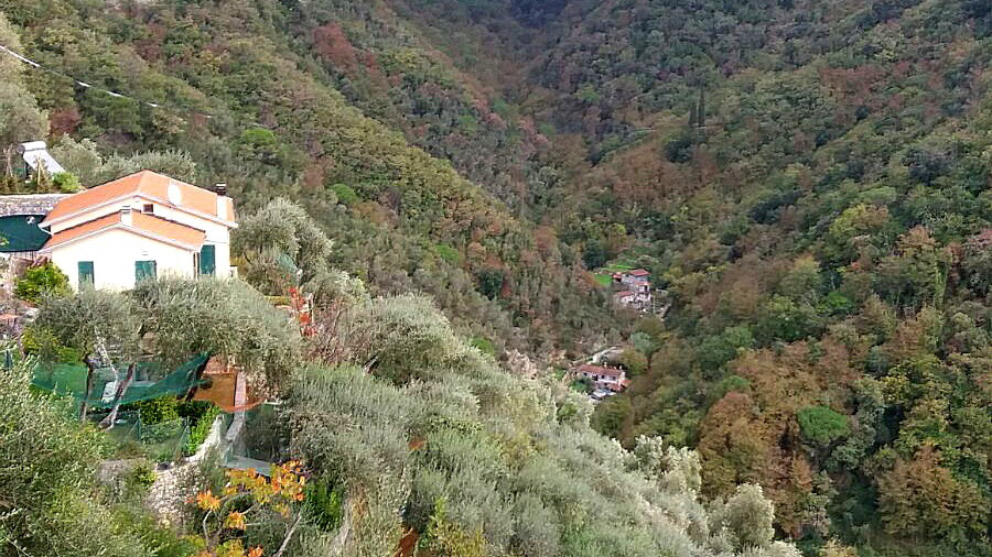 «La Regione si pronunci sul trasloco immobiliare di Capurro e Pernigotti»