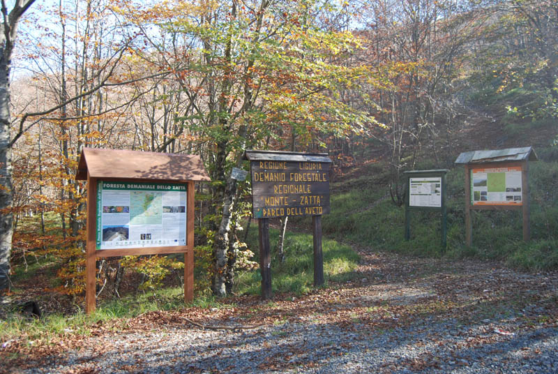 I colori dell’autunno nel Parco dell’Aveto