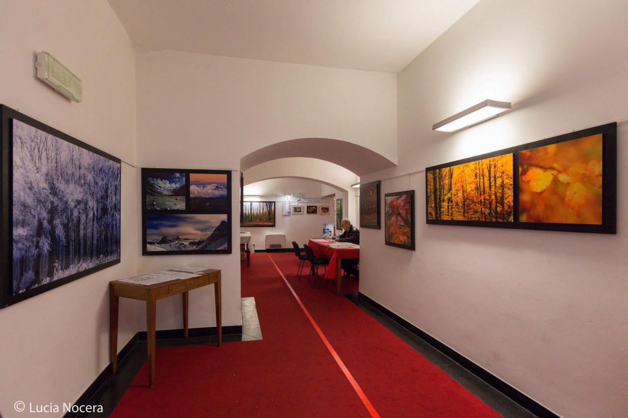 All’Auditorium San Francesco di Chiavari regina la fotografia