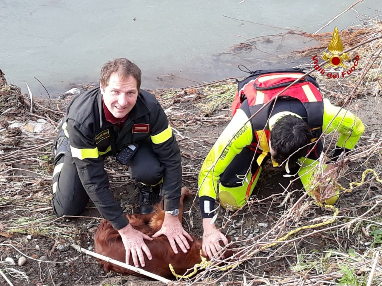 Cane rischia di annegare nell’Entella, lo salvano i Vigili del Fuoco e i sommozzatori