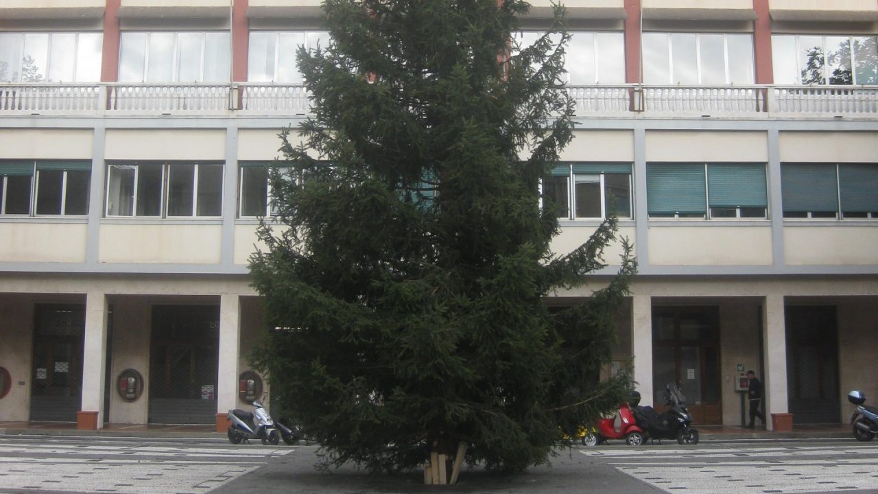 Recco, accensione dell’albero di Natale in diretta Facebook