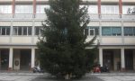 Recco, accensione dell'albero di Natale in diretta Facebook