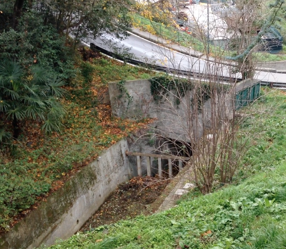 Pulizia del Rio Baciucca