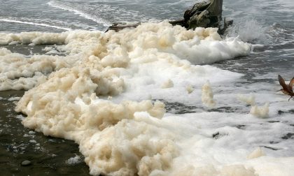 Le mareggiate portano con sé depositi di schiuma: ma non è pericolosa