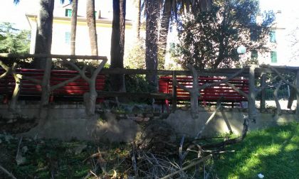 Parco Serlupi, l'opposizione ne denuncia abbandono e degrado