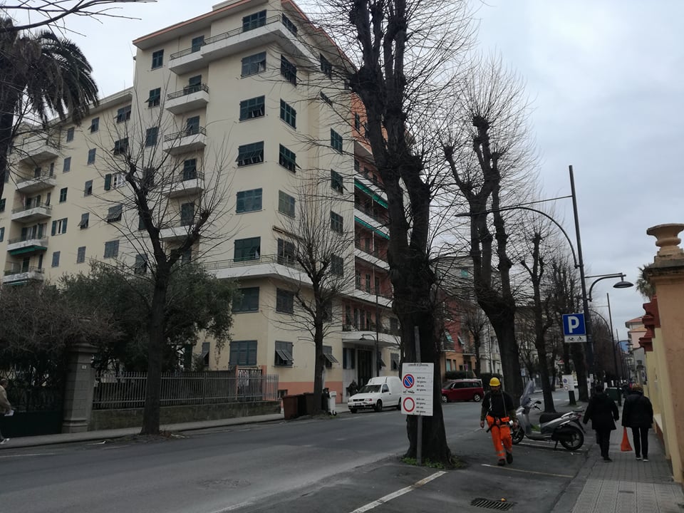 Potature in corso Buenos Aires, occhio ai divieti di sosta
