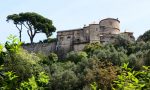 Insetto mangia i pini di Castello Brown a Portofino