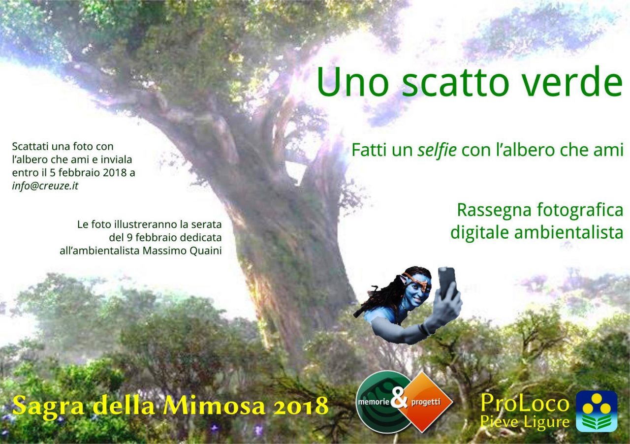 Sagra della mimosa, tra le manifestazioni collaterali anche i “selfie con gli alberi”