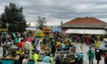 Pieve Ligure si tinge di giallo per celebrare la mimosa