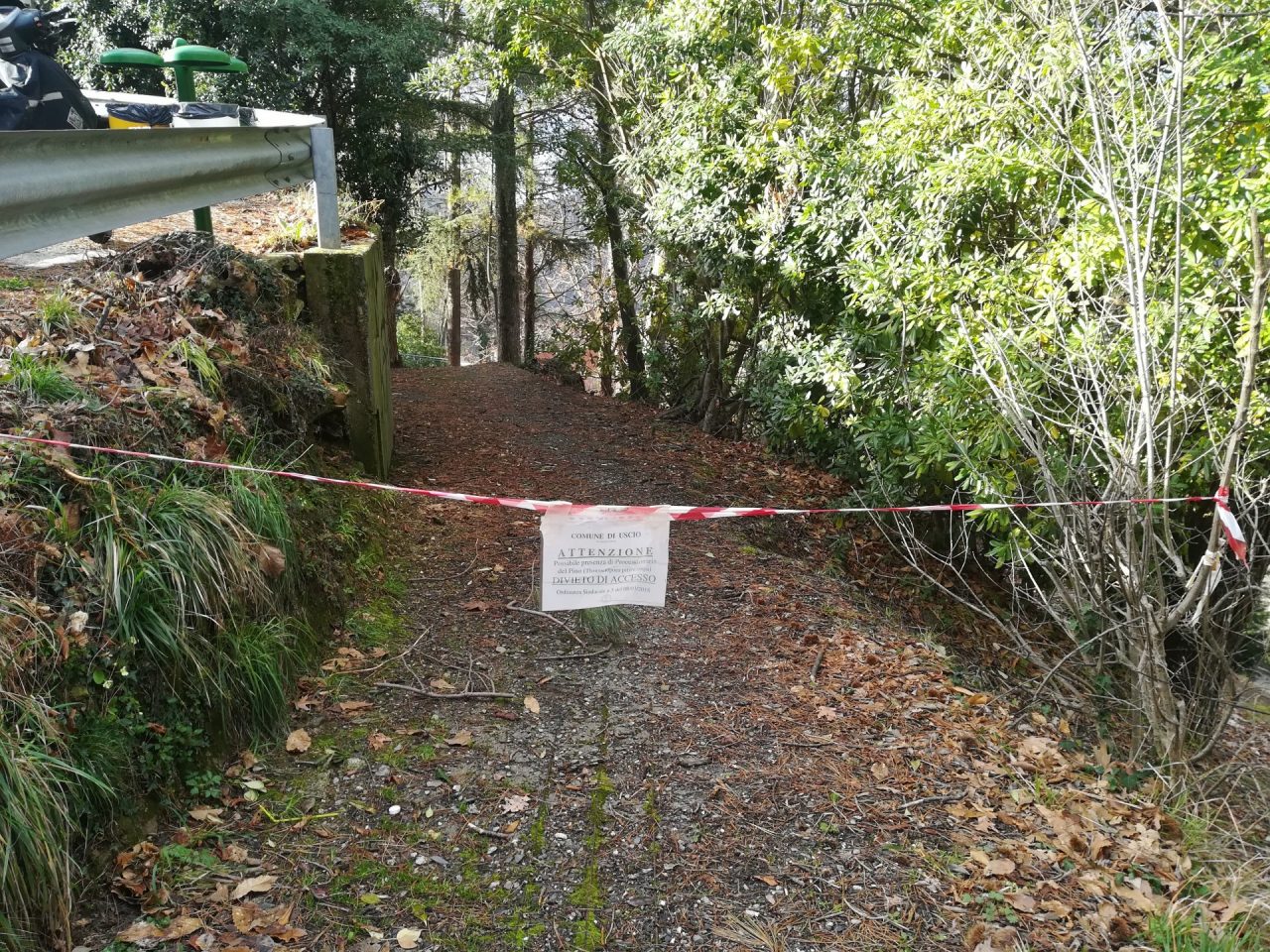 Uscio: parco pubblico off limits, torna la processionaria