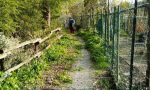 Di nuovo percorribile la ciclabile che dal Pontevecchio arriva in località San Quirico