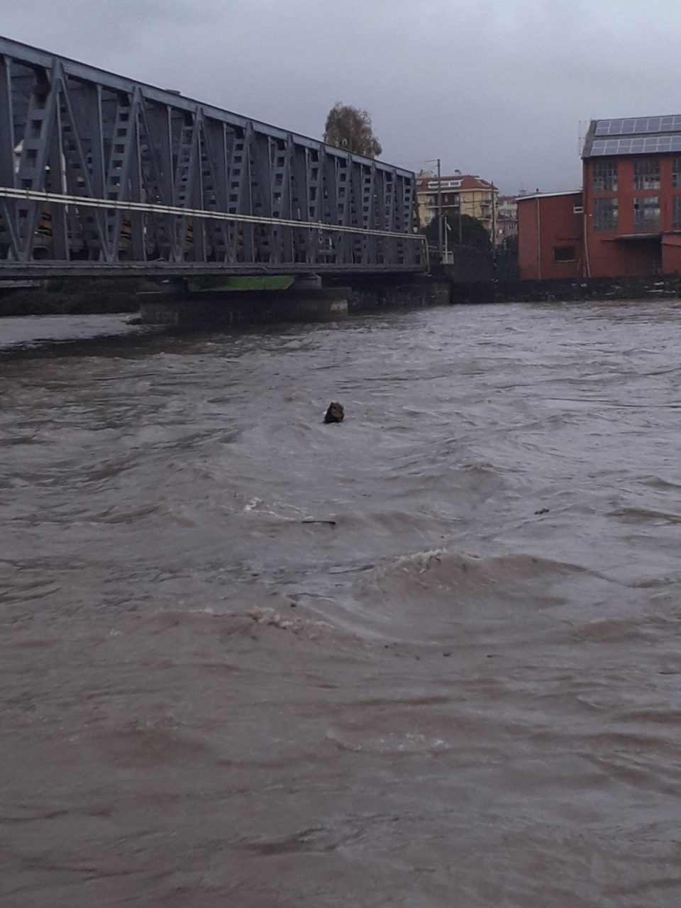 Allerta meteo in chiusura, ma il maltempo continuerà