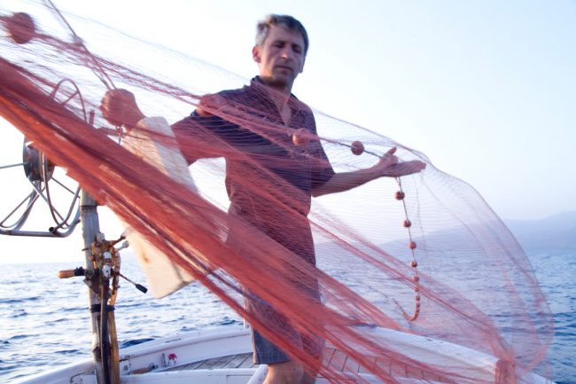 Tutto pronto nei nostri mari per l’inizio della pesca alle acciughe