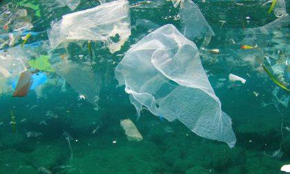 Plastica usa e getta, l'Europa la mette al bando: cosa cambierà (e cosa no)?