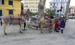 A Santa Margherita la settimana degli asini