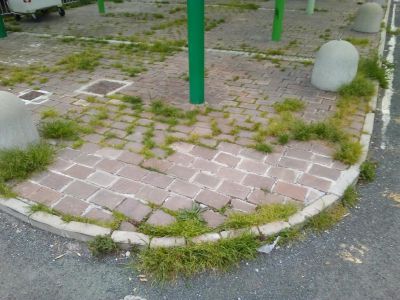 Solari: «Piazzale Sanguineti nel degrado»