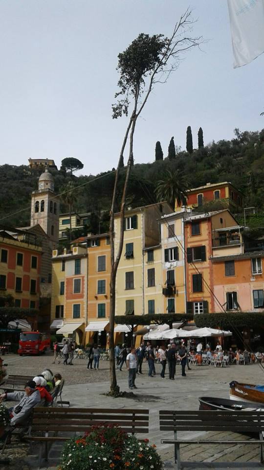 A Portofino la “penolla” per San Giorgio è pronta