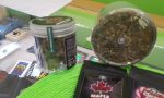 È cannabis legale: ma due ragazzi la rubano