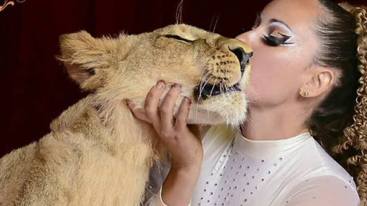 Regolamento animali a Chiavari: anche i circensi vogliono dire la loro