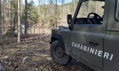 Trasporta cavallo non in regola con la profilassi: maxi multa a Santo Stefano