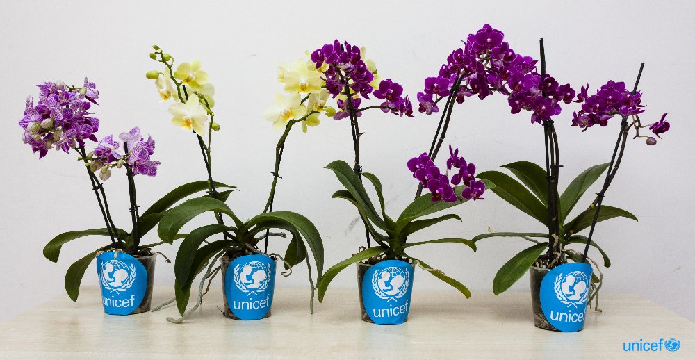 Unicef nel Levante con le orchidee di Euroflora